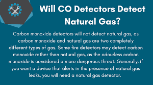 carbon monoxide and gas detector