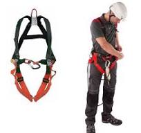 a full body harness