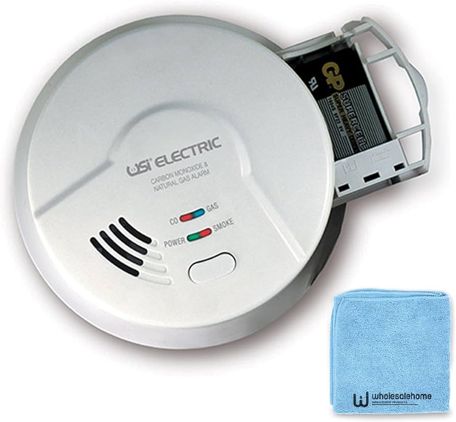 carbon monoxide and natural gas alarm