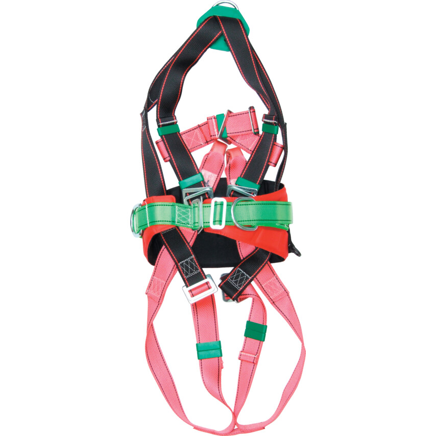 safety harness with tool belt