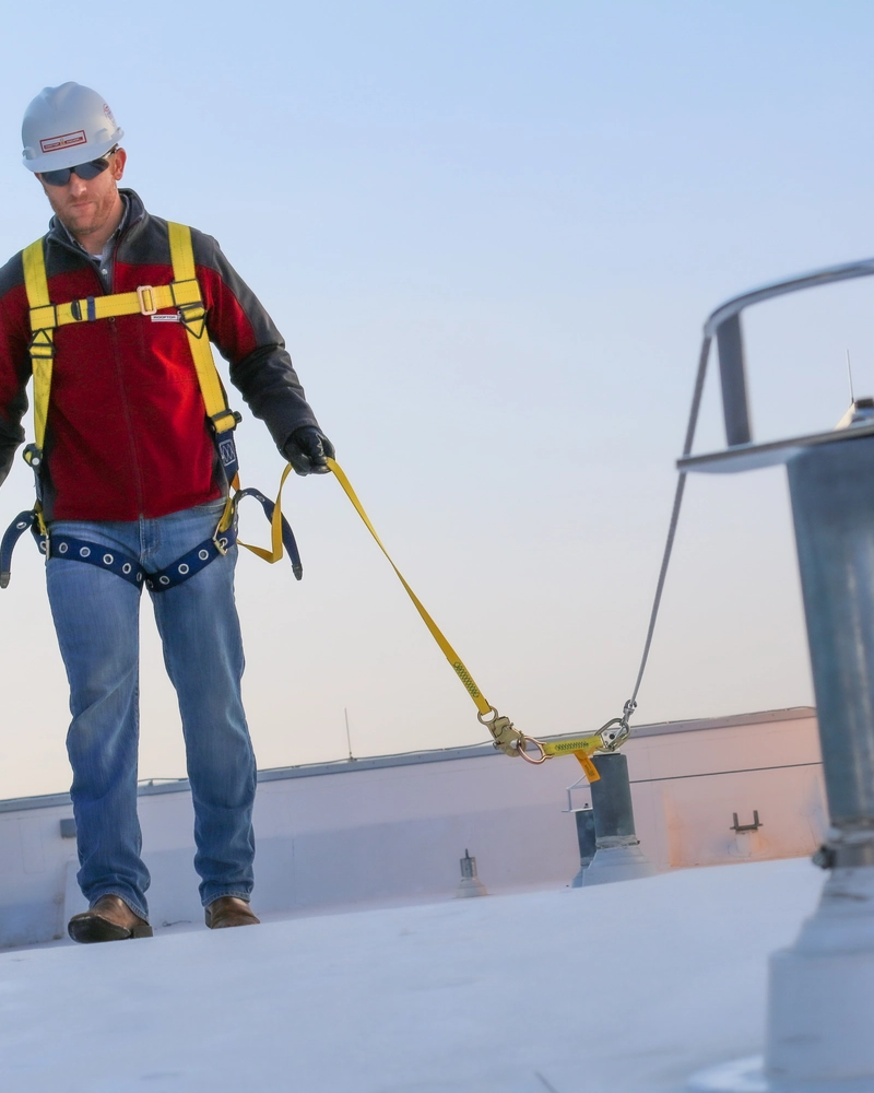safety harness with lifeline