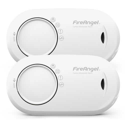 portable co detector for travel